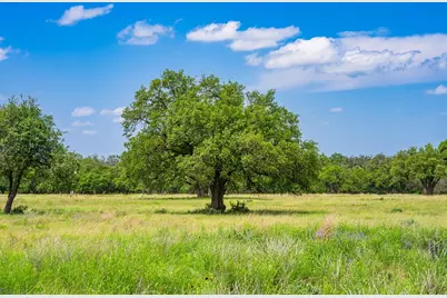 Lot 79 Stock Pond Dr, Harper, TX 78631 - Photo 4