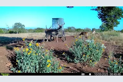 647 Funf Kinder Rd, Fredericksburg, TX 78624 - Photo 72