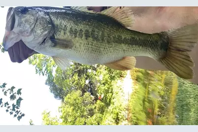 364 Wolf Creek Rd., Fredericksburg, TX 78624 - Photo 56