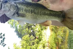 364 Wolf Creek Rd, Fredericksburg, TX 78624 - Photo 56