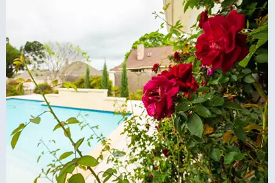 2208 Amberstone, Fredericksburg, TX 78624 - Photo 36