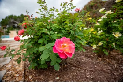 2208 Amberstone, Fredericksburg, TX 78624 - Photo 52