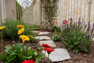 2208 Amberstone, Fredericksburg, TX 78624 - Photo 40