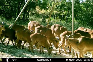 475 River Bend Rd, Hunt, TX 78024 - Photo 40