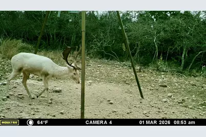 475 River Bend Rd, Hunt, TX 78024 - Photo 46