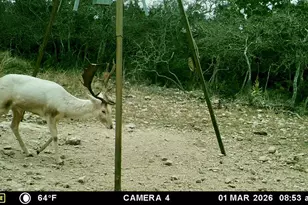 475 River Bend Rd, Hunt, TX 78024 - Photo 46