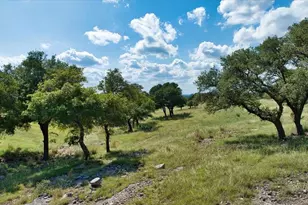 1411 Grape Creek Rd, Fredericksburg, TX 78624 - Photo 32
