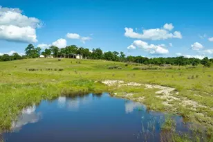 1411 Grape Creek Rd, Fredericksburg, TX 78624 - Photo 34