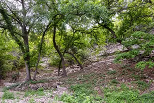 2985 Hwy 39, Hunt, TX 78024 - Photo 28