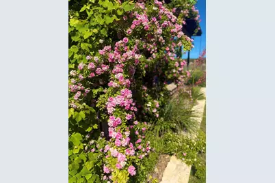 2178 S Ranch Rd 783, Harper, TX 78631 - Photo 36