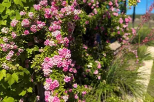 2178 S Ranch Rd 783, Harper, TX 78631 - Photo 36