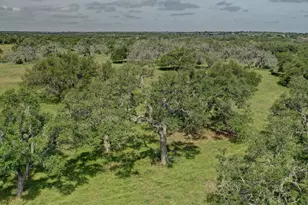 2178 S Ranch Rd 783, Harper, TX 78631 - Photo 54