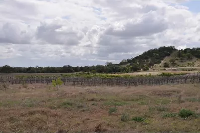 2282 Sultemeier-Moellering Rd, Fredericksburg, TX 78624 - Photo 12