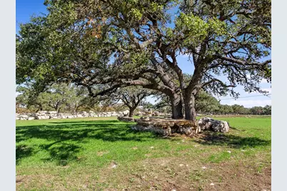 788 Clarence Jacoby Rd, Fredericksburg, TX 78624 - Photo 6
