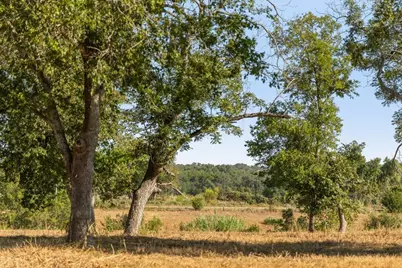 440 Chimney Valley Rd, Blanco, TX 78606 - Photo 8