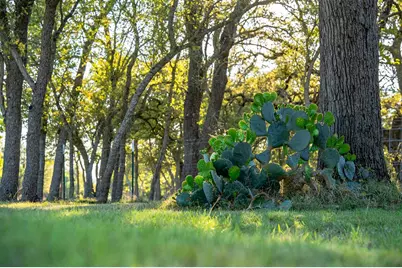 2873 Ranch Rd 1888, Fredericksburg, TX 78624 - Photo 40