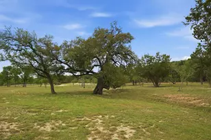 134 Stallion Estates Dr, Spring Branch, TX 78070 - Photo 48