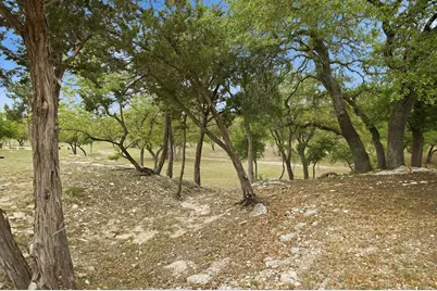 134 Stallion Estates Dr, Spring Branch, TX 78070 - Photo 48