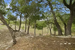 134 Stallion Estates Dr, Spring Branch, TX 78070 - Photo 50