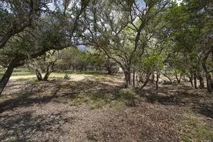 222 Spanish Oak Trail, Harper, TX 78631 - Photo 40