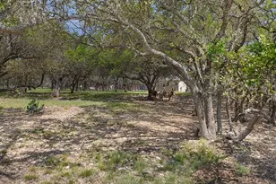 222 Spanish Oak Trail, Harper, TX 78631 - Photo 42