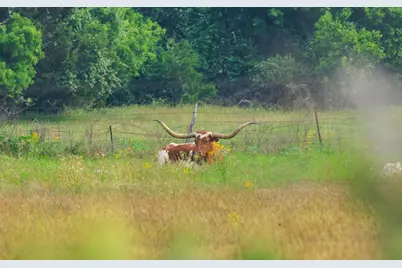 514 Knopp School Rd, Fredericksburg, TX 78624 - Photo 40
