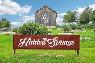 162 Flowering Sage Ln, Fredericksburg, TX 78624 - Photo 80