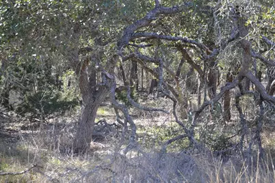 1150 Duderstadt Rd, Harper, TX 78631 - Photo 6