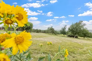 815 Nixon Creek Rd, Fredericksburg, TX 78624 - Photo 42
