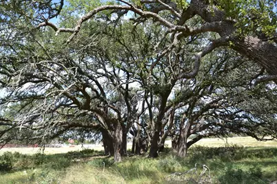 1152 Duderstadt Rd, Harper, TX 78631 - Photo 26
