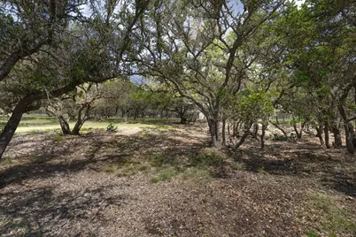 222 Spanish Oak Trail, Harper, TX 78631 - Photo 40
