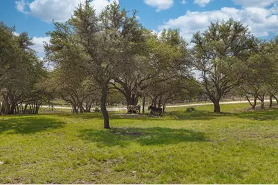 222 Spanish Oak Trail, Harper, TX 78631 - Photo 30