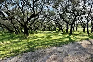3513 N US Hwy 281, Blanco, TX 78606 - Photo 24