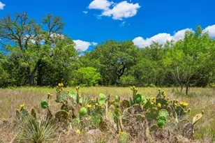 5545 Center Point Rd, Fredericksburg, TX 78624 - Photo 44