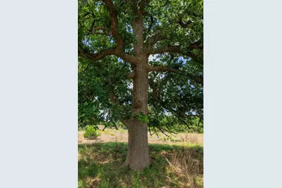 2100 Grape Creek Rd, Fredericksburg, TX 78624 - Photo 8