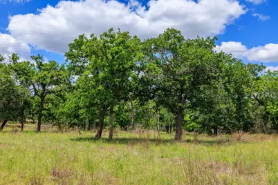 2100 Grape Creek Rd, Fredericksburg, TX 78624 - Photo 10