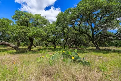 2100 Grape Creek Rd, Fredericksburg, TX 78624 - Photo 4