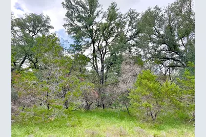 Tbd -  Lot 43A Narrows Rd, Blanco, TX 78606 - Photo 6