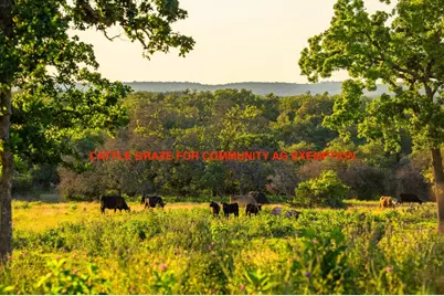 198 N Stanley Ct, Kerrville, TX 78028 - Photo 8
