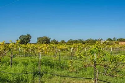 10207 E US Hwy 290, Fredericksburg, TX 78624 - Photo 18