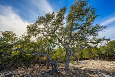 216 Heights Trail, Kerrville, TX 78028 - Photo 8