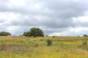 245 Big Sky Road, Harper, TX 78631 - Photo 28