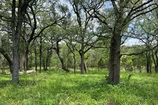 Tbd Narrows Rd, Blanco, TX 78606 - Photo 1