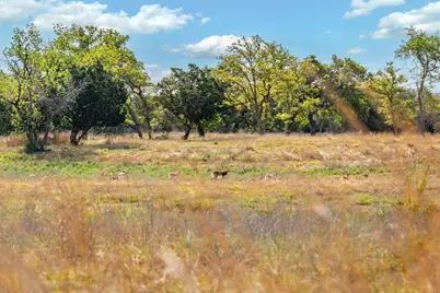 862 Grape Creek Rd, Fredericksburg, TX 78624 - Photo 84