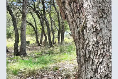 815 Oxen Trail, Fredericksburg, TX 78624 - Photo 46