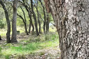815 Oxen Trail, Fredericksburg, TX 78624 - Photo 46