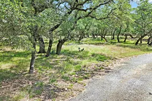 815 Oxen Trail, Fredericksburg, TX 78624 - Photo 36