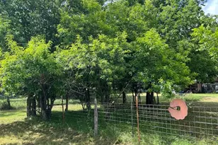 6009 SE 5th St, Rochelle, TX 76872 - Photo 52