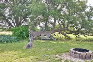 449 Jung Rd, Harper, TX 78631 - Photo 38