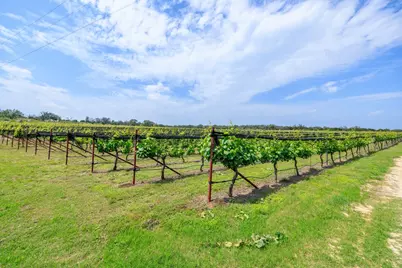 3750 Grapetown Rd, Fredericksburg, TX 78624 - Photo 12